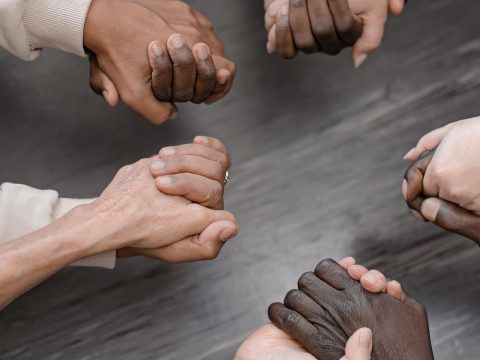 Plan de Cohesión e Inclusión Social